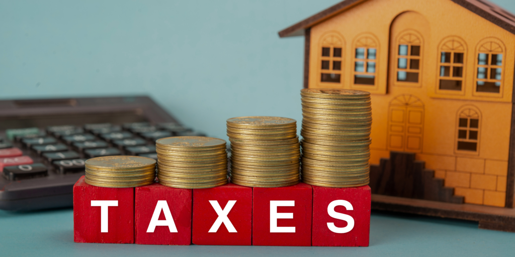 estate tax amnesty